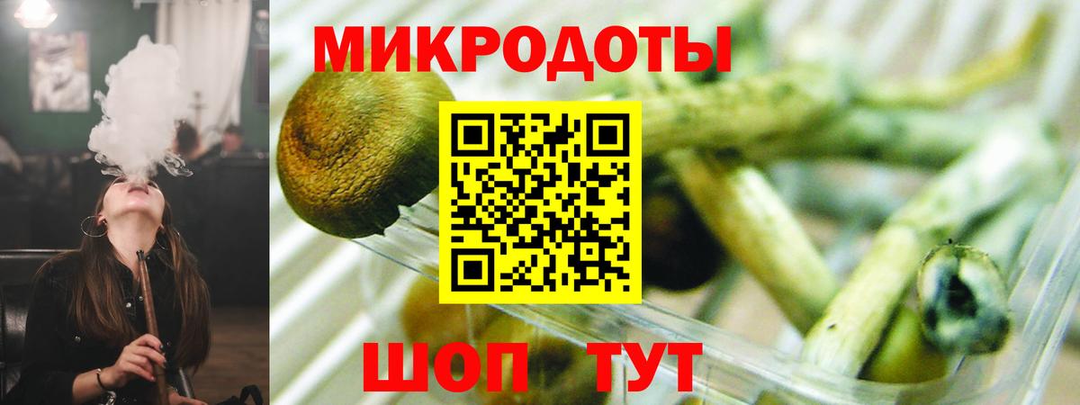 Псилоцибиновые грибы прущие грибы Александров
